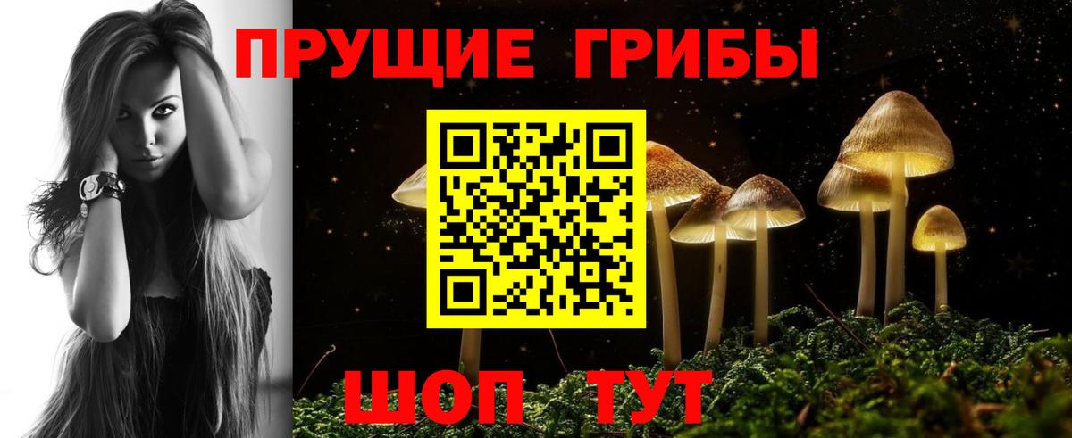 Галлюциногенные грибы мицелий  Вход с VPN  Кисловодск 